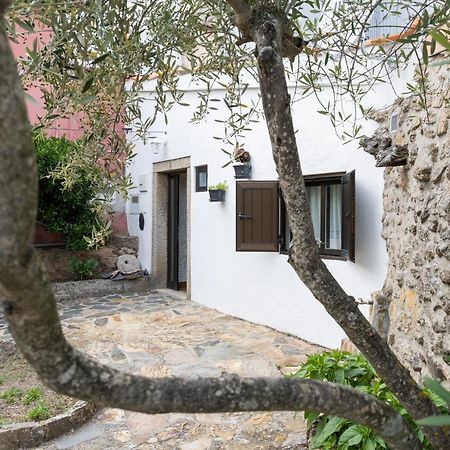 Casa Da Penha Βίλα Picote Εξωτερικό φωτογραφία